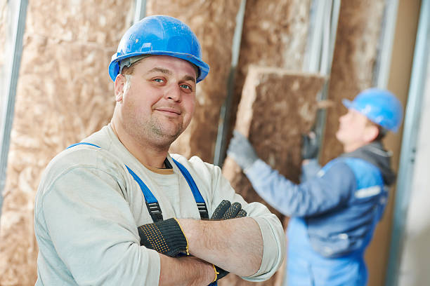 Best Attic Insulation Installation  in Cortland, IL